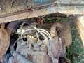 Autobianchi Sonstige 120B Blau - thumbnail 9