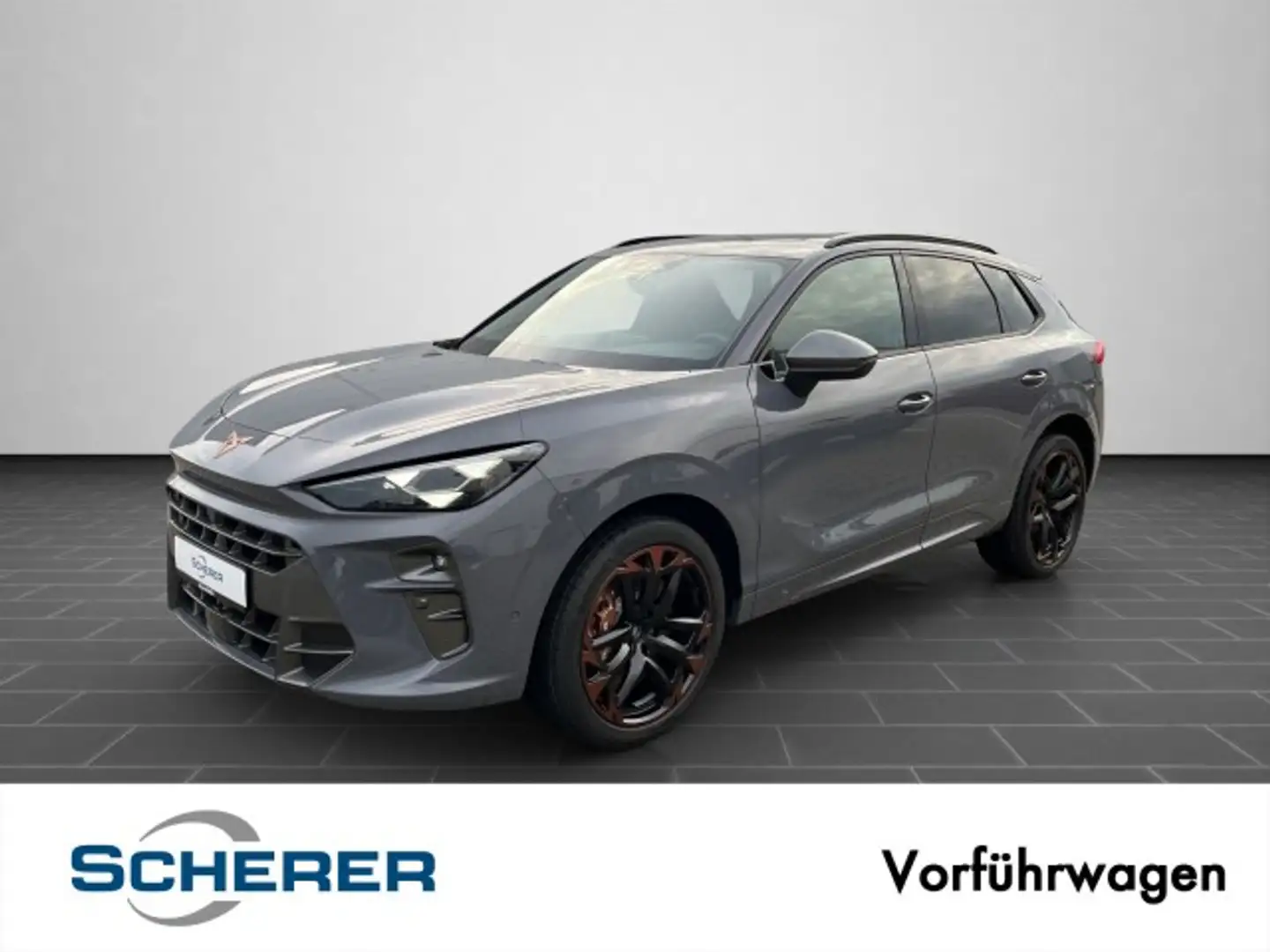 CUPRA Terramar VZ 265PS /DigitalDrive Paket/Sennheiser/Pano/ uvm. Grau - 1