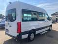 Mercedes-Benz Sprinter 2.0 CDI hoch Rollstuhllift Weiß - thumbnail 6