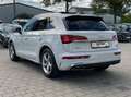 Audi Q5 50 TDI quattro S line LED Navi Pano ACC Luft. Weiß - thumbnail 3