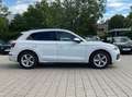Audi Q5 50 TDI quattro S line LED Navi Pano ACC Luft. Weiß - thumbnail 6