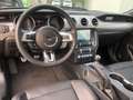 Ford Mustang GT500 SHELBY Optik*V8*LED*LEDER*KAMERA Negru - thumbnail 12