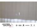 Volkswagen Golf VIII Variant 2.0 TDI R-Line "Black Style" Grau - thumbnail 10