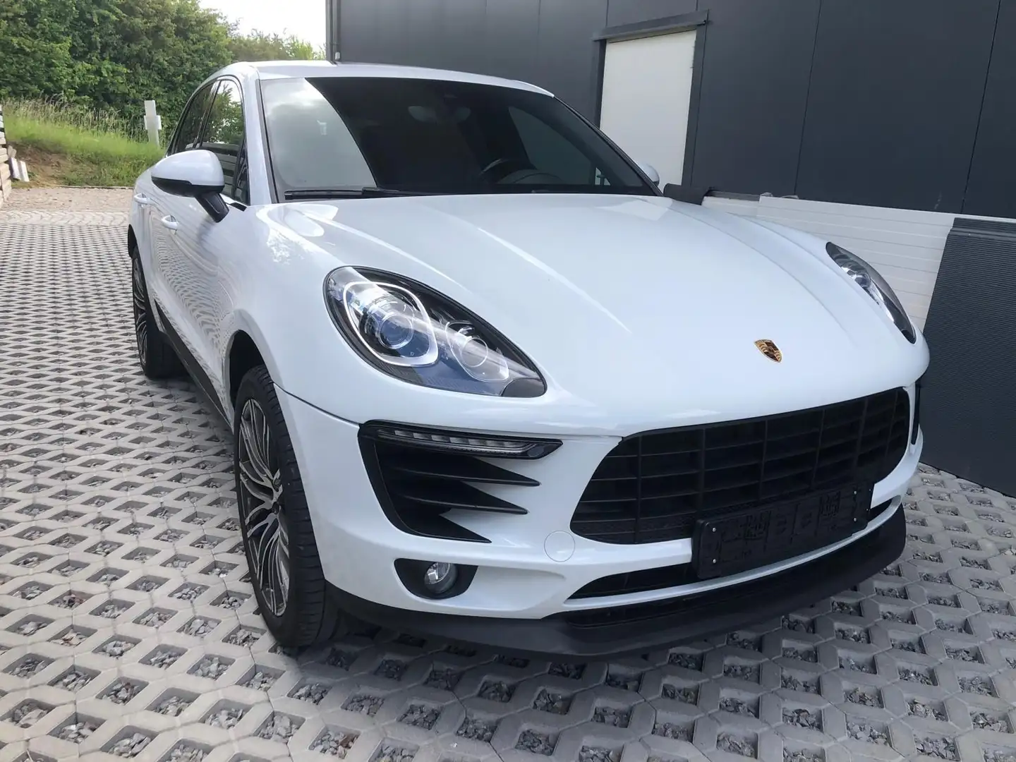 Porsche Macan Basis Bianco - 1