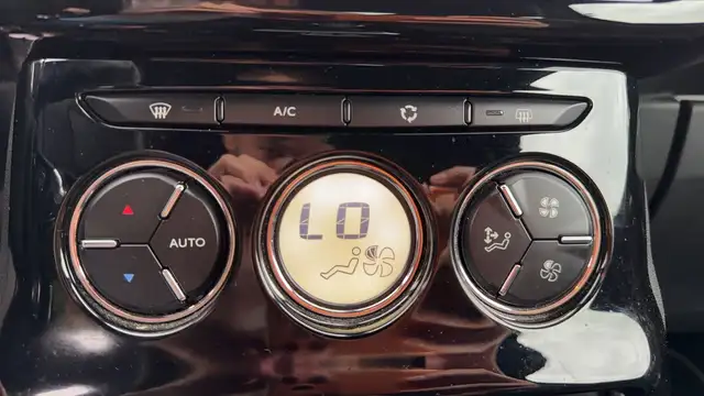 DS Automobiles DS 3 view 13