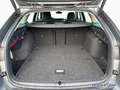 Skoda Octavia Combi Selection 1.5TSI DSG PANO,AHK,KAMERA,MATRIX, Gris - thumbnail 14