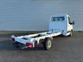 Mercedes-Benz Sprinter 316 cdi T 43/35 Executive EVI Blanc - thumbnail 2