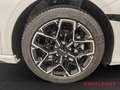 Kia Ceed / cee'd GT-Line 1.5T Technologie-Paket Leder-Paket Weiß - thumbnail 15