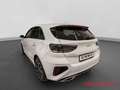 Kia Ceed / cee'd GT-Line 1.5T Technologie-Paket Leder-Paket Weiß - thumbnail 3