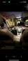 Ford Galaxy 2.0 TDCi DPF Business Edition - thumbnail 9