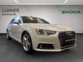 Audi A4 2.0 TDI quattro Sport Weiß - thumbnail 3