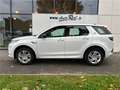 Land Rover Discovery Sport Mark VII P300e PHEV AWD BVA R-Dynamic S Blanc - thumbnail 2