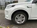 Land Rover Discovery Sport Mark VII P300e PHEV AWD BVA R-Dynamic S Blanc - thumbnail 4