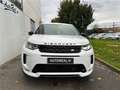 Land Rover Discovery Sport Mark VII P300e PHEV AWD BVA R-Dynamic S Blanc - thumbnail 5