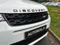 Land Rover Discovery Sport Mark VII P300e PHEV AWD BVA R-Dynamic S Blanc - thumbnail 29