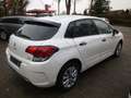 Citroen C4 Lim. Shine*Hybr.Diesel/E,Blue HDI* Weiß - thumbnail 4