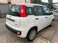Fiat New Panda Panda 1.0 FireFly S&S Hybrid Bianco - thumbnail 4