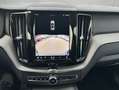 Volvo XC60 XC60 B4 D 2.0 AWD Plus Dark Schwarz - thumbnail 14