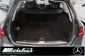 Mercedes-Benz C 180 T Avantgarde 9G TWA LED RFK Ambiente Apple Grau - thumbnail 13