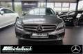 Mercedes-Benz C 180 T Avantgarde 9G TWA LED RFK Ambiente Apple Grau - thumbnail 15