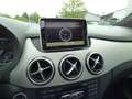 Mercedes-Benz B 200 CDi Sport 7G-Tronic Panoramaschiebedach Intelli... Blau - thumbnail 32