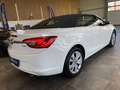 Opel Cascada Innovation ecoFlex *NAVI*TEMPOMAT*BI-XEN Weiß - thumbnail 18