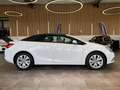 Opel Cascada Innovation ecoFlex *NAVI*TEMPOMAT*BI-XEN Weiß - thumbnail 17