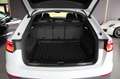 Audi Q8 50 TDI S tronic quattro S line sport Weiß - thumbnail 13