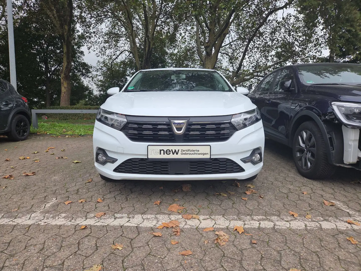 Dacia Sandero Comfort TCe 90 CVT Scheckheft PDC hinten Blanc - 2