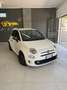 Fiat 500 500 1.3 Multijet 95 CV S Bianco - thumbnail 1