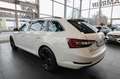 Skoda Superb Combi 2.0 TDI DSG Ambition/Bi-Xenon/ACC/ Blanc - thumbnail 8