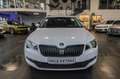 Skoda Superb Combi 2.0 TDI DSG Ambition/Bi-Xenon/ACC/ Blanc - thumbnail 2