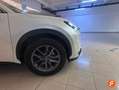 Lexus LBX 1.5 136cv HEV Gris - thumbnail 18