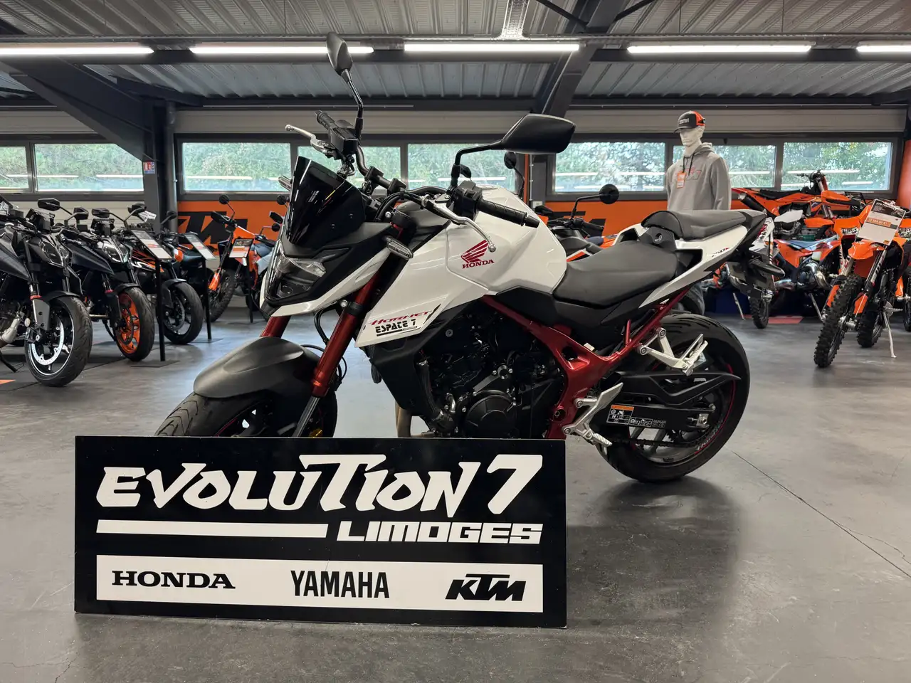 Honda Hornet