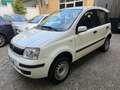 Fiat Panda 1.3 MJT 16V 4x4 Blanc - thumbnail 1