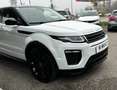 Land Rover Range Rover Evoque SE Dynamic Aut.*Leder*LED*Pano*RFK*SHZ*20Zoll* Weiß - thumbnail 4