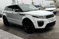 Land Rover Range Rover Evoque SE Dynamic Aut.*Leder*LED*Pano*RFK*SHZ*20Zoll* Weiß - thumbnail 3