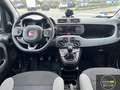 Fiat Panda Panda 0.9 TwinAir Turbo Natural Power City Life Bleu - thumbnail 14