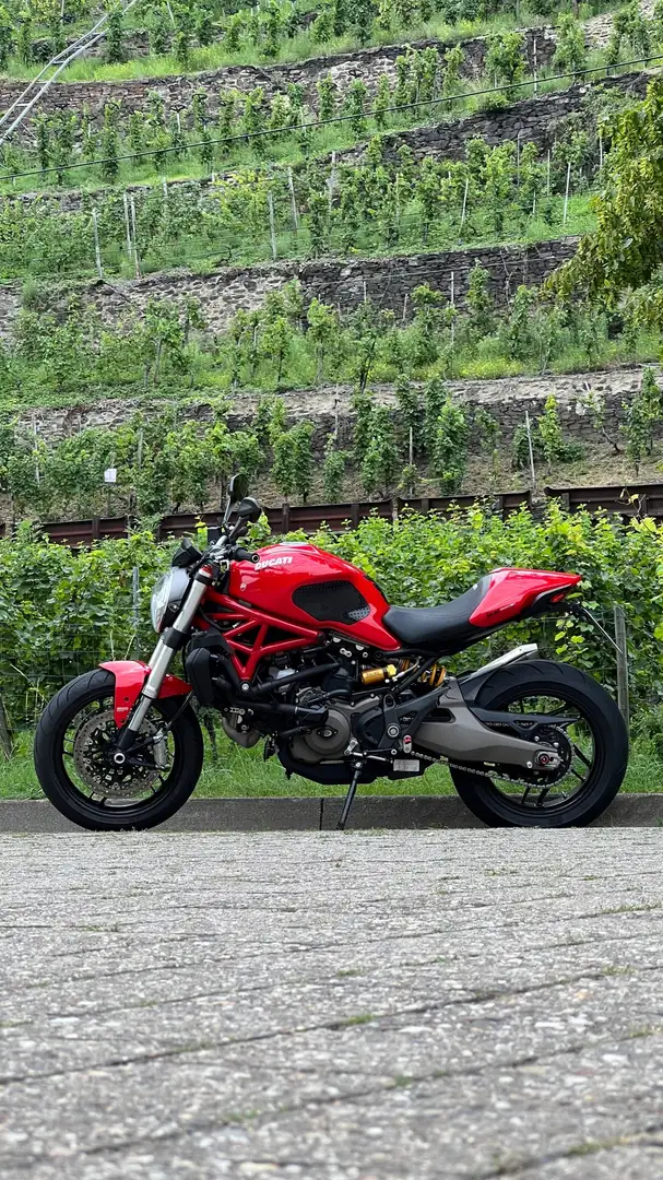Ducati Monster 821 Rot - 1