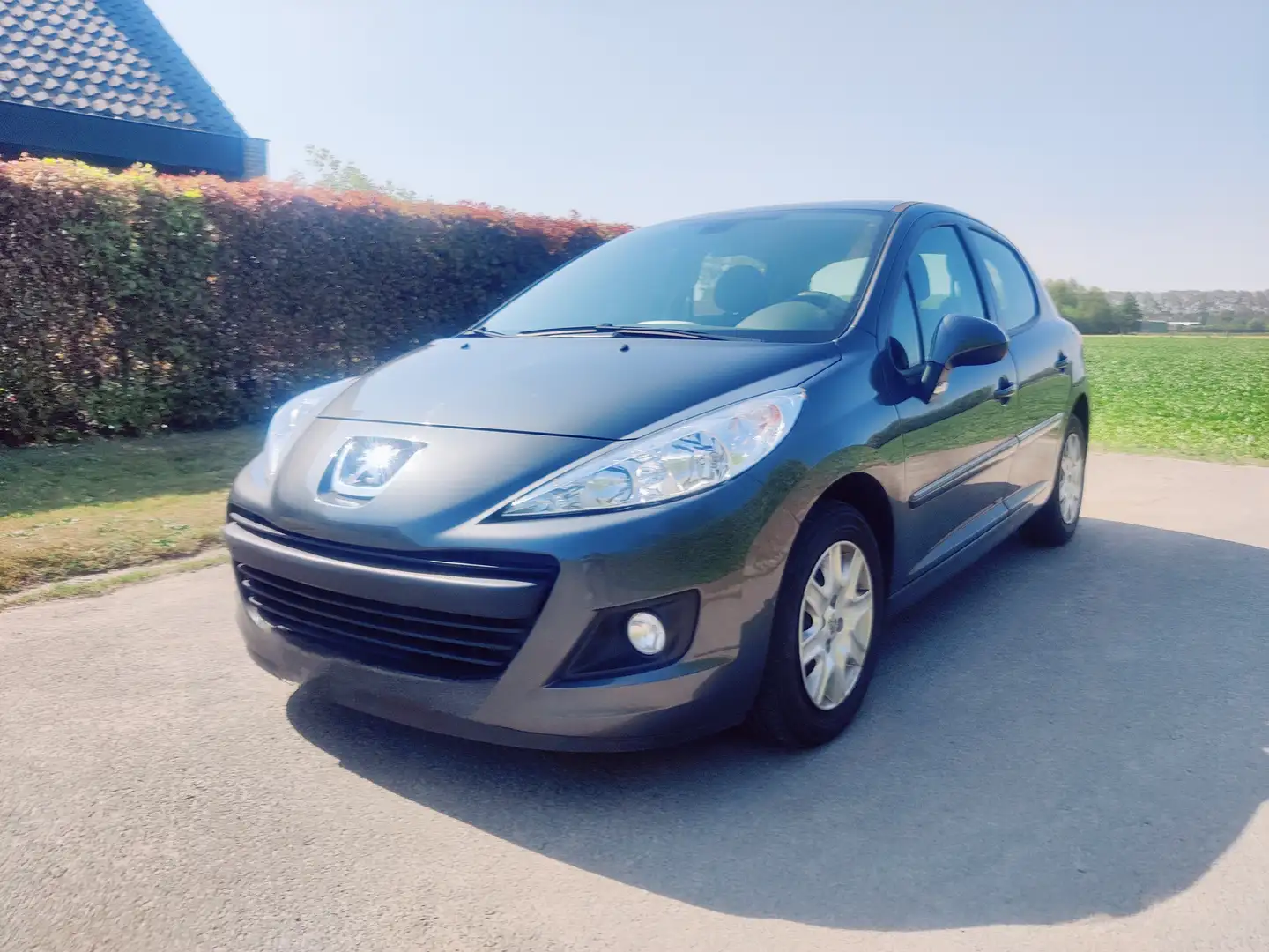 Peugeot 207 207+ Grijs - 2