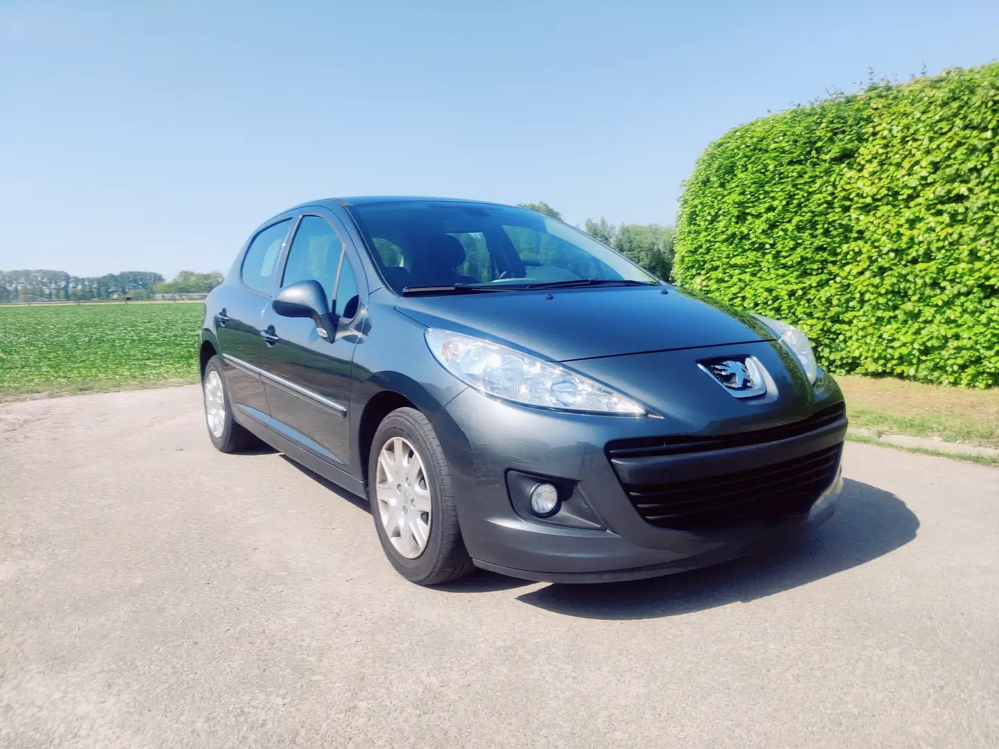 Peugeot 207 207+ Grijs - 1