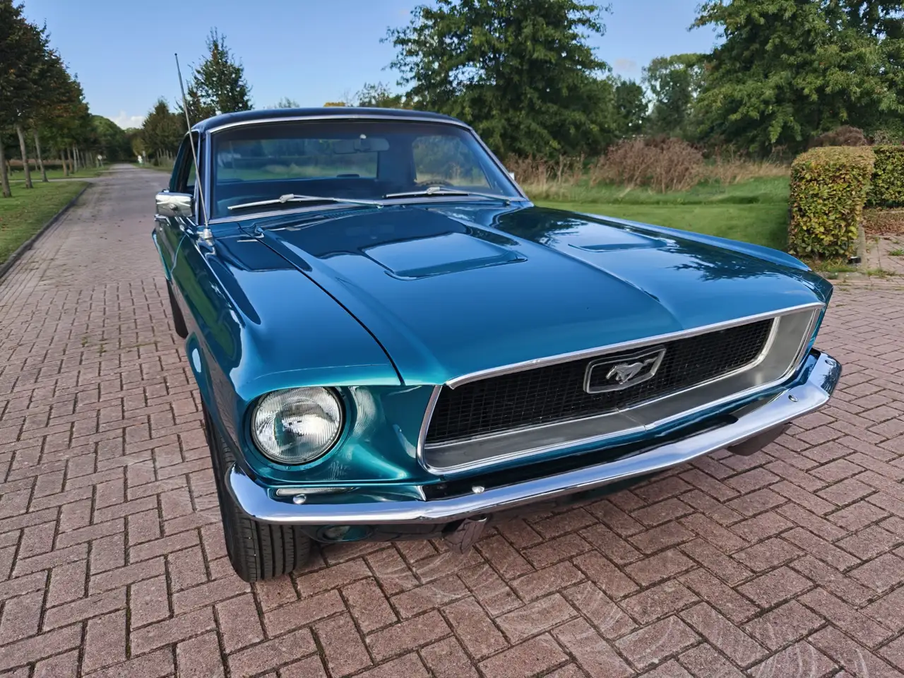 Ford Mustang HARDTOP 302 V8 COUPE J CODE!, foto 3