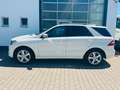 Mercedes-Benz ML 500 BlueEff./AMG/Pano/Sitzkühl./AHK/S-Heft... Weiß - thumbnail 2