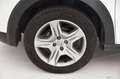 Dacia Sandero Stepway 1.0 tce Comfort Eco-g 100cv - AUTOCARRO - Bianco - thumbnail 6