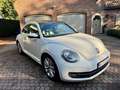Volkswagen Beetle Beetle 1.6 CR TDi Design Wit - thumbnail 1