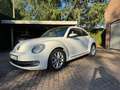 Volkswagen Beetle Beetle 1.6 CR TDi Design Wit - thumbnail 10