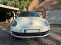 Volkswagen Beetle Beetle 1.6 CR TDi Design Wit - thumbnail 5