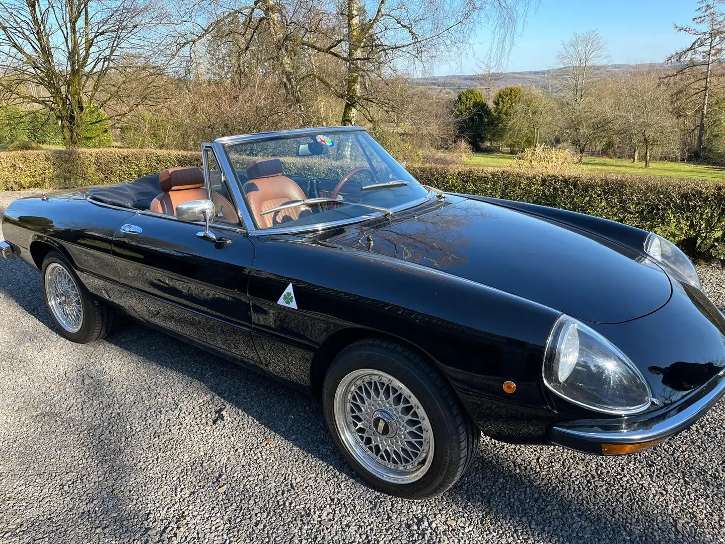 Alfa Romeo Spider Noir - 1