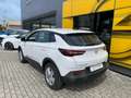Opel Grandland X 1.6 diesel Ecotec Advance Bianco - thumbnail 7