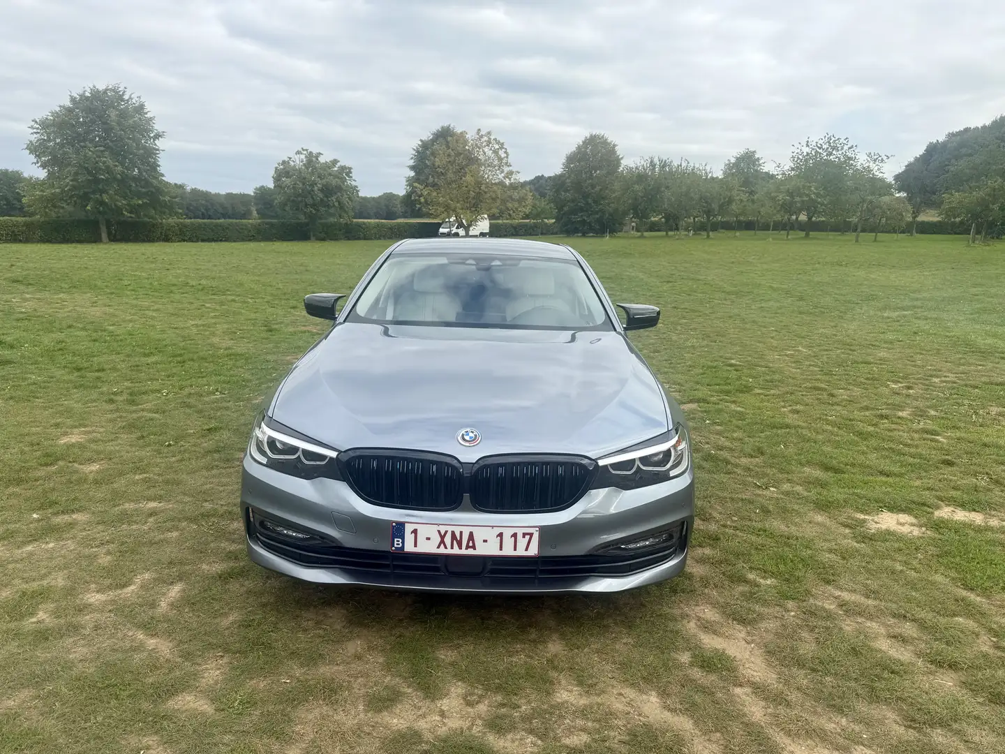 BMW Active Hybrid 5 530e - 1